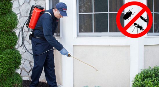 Nurhak Hamam Böceği İlaçlama böcek ilaçlama ve haşere kontrolü — ilaclama-tr.com